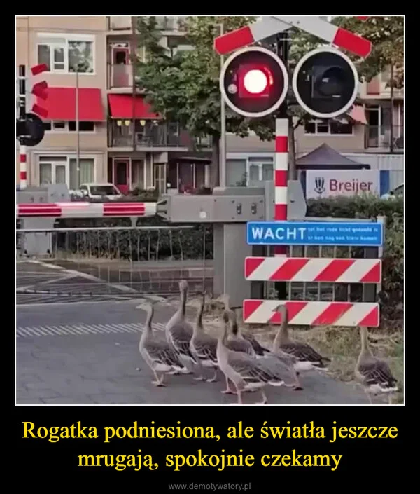 
    Rogatka podniesiona, ale światła jeszcze mrugają, spokojnie czekamy