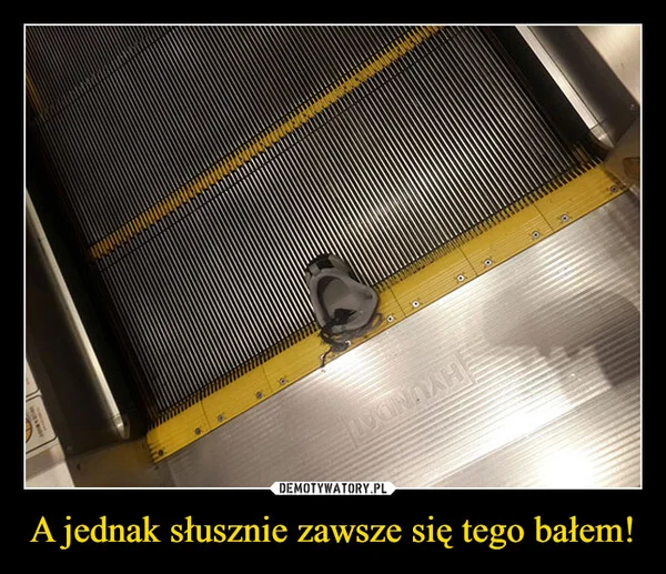 
    A jednak słusznie zawsze się tego bałem!