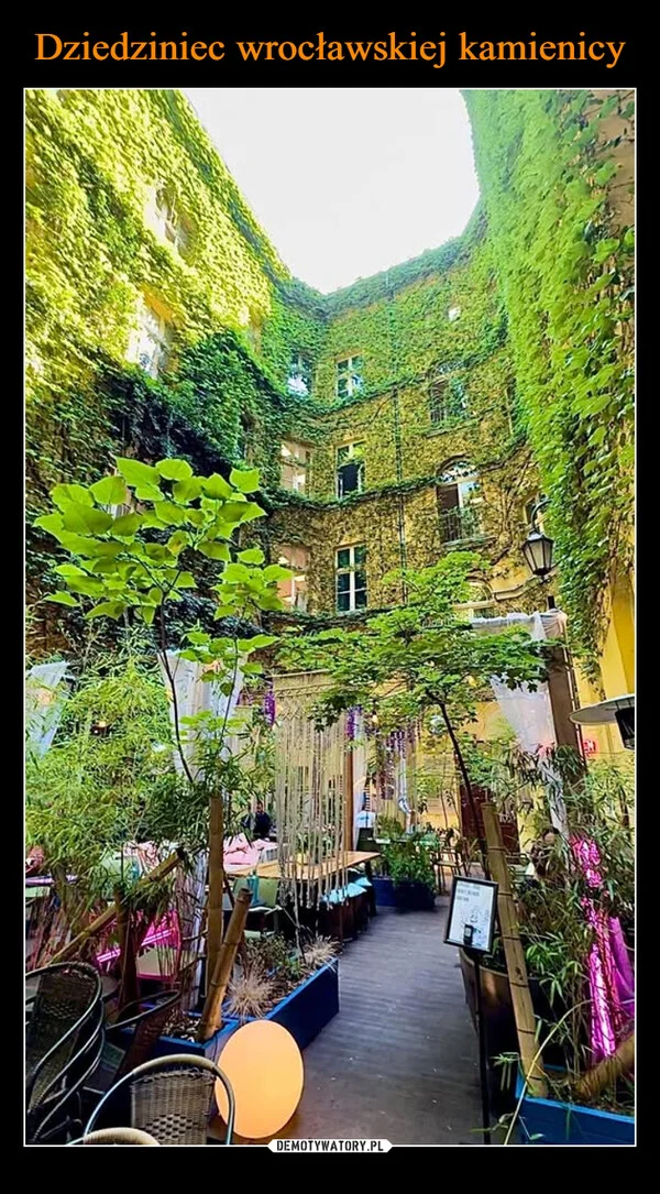 
    Dziedziniec wrocławskiej kamienicy