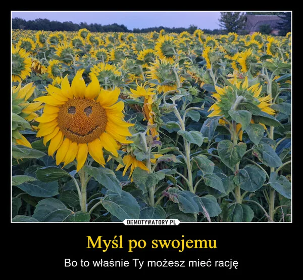 
    Myśl po swojemu