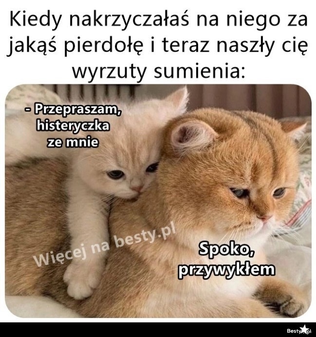 
    Ciężki los 