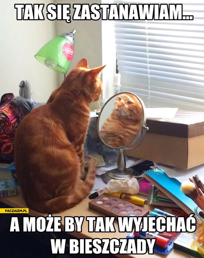 
    Może by tak wyjechać w bieszczady