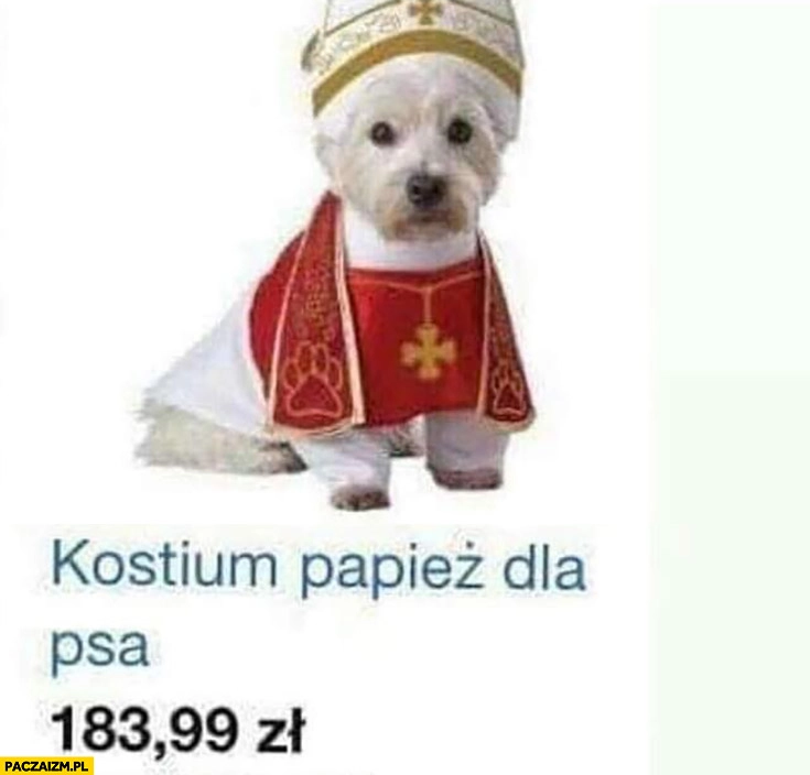 
    Kostium papież dla psa przebranie