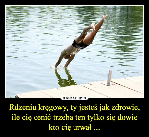 Rdzeniu kręgowy, ty jesteś jak zdrowie, ile cię cenić trzeba ten tylko się dowie kto cię urwał ...