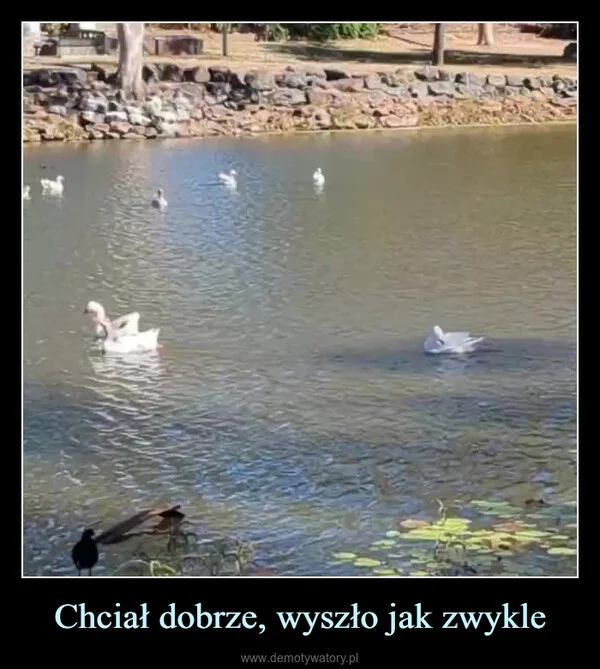 
    Chciał dobrze, wyszło jak zwykle