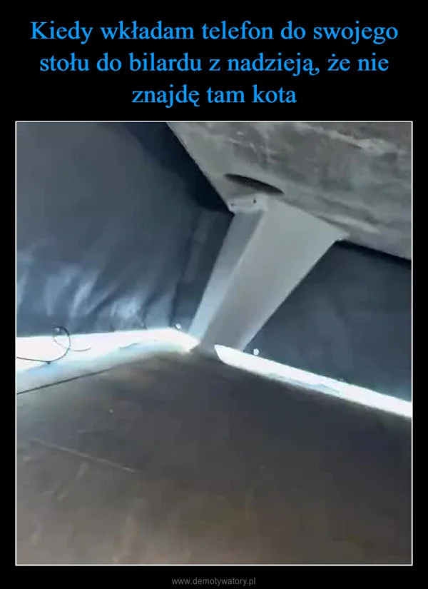 
    Kiedy wkładam telefon do swojego stołu do bilardu z nadzieją, że nie znajdę tam kota