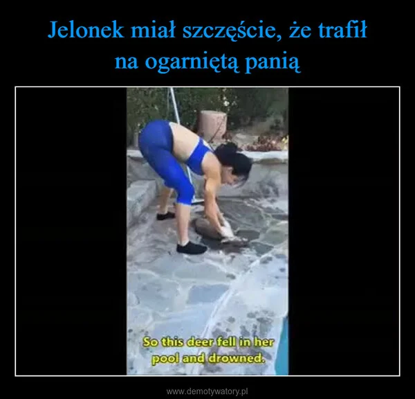 
    Jelonek miał szczęście, że trafił na ogarniętą panią