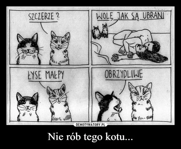 
    Nie rób tego kotu...