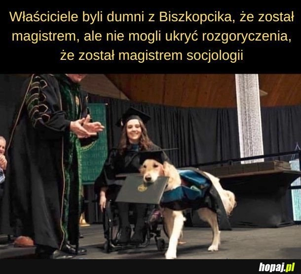 
    Akurat Biszkopcik będzie się cieszyć z pracy w Maku. 