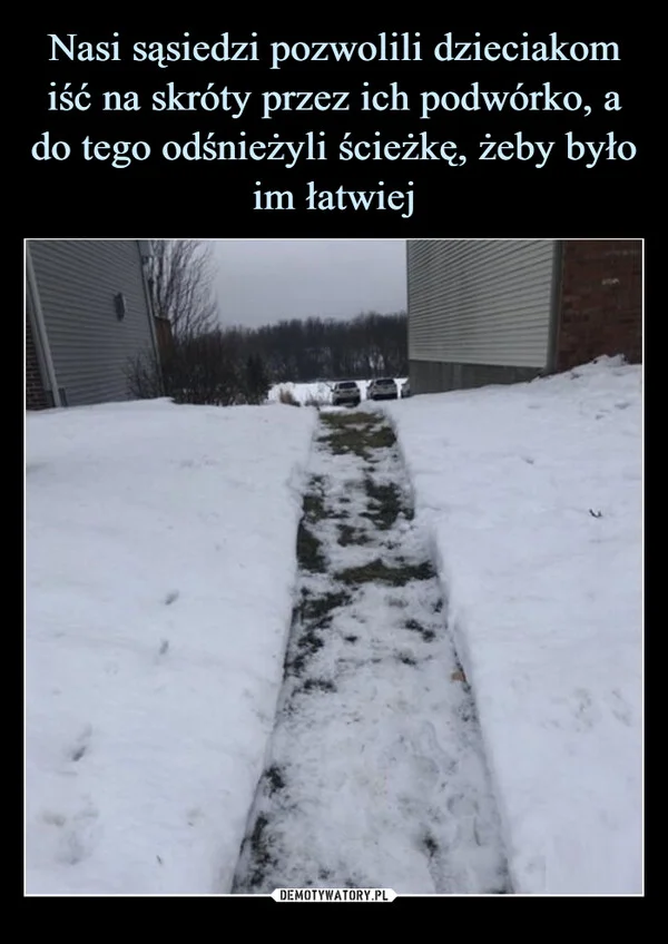 
    Nasi sąsiedzi pozwolili dzieciakom iść na skróty przez ich podwórko, a do tego odśnieżyli ścieżkę, żeby było im łatwiej
