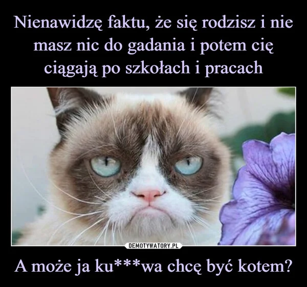 
    Nienawidzę faktu, że się rodzisz i nie masz nic do gadania i potem cię ciągają po szkołach i pracach A może ja ku***wa chcę być kotem?