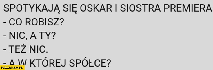 
    Spotykają się Oskar Szafarowicz i siostra premiera Morawieckiego: co robisz, nic, a ty, też nic, a w której spółce?