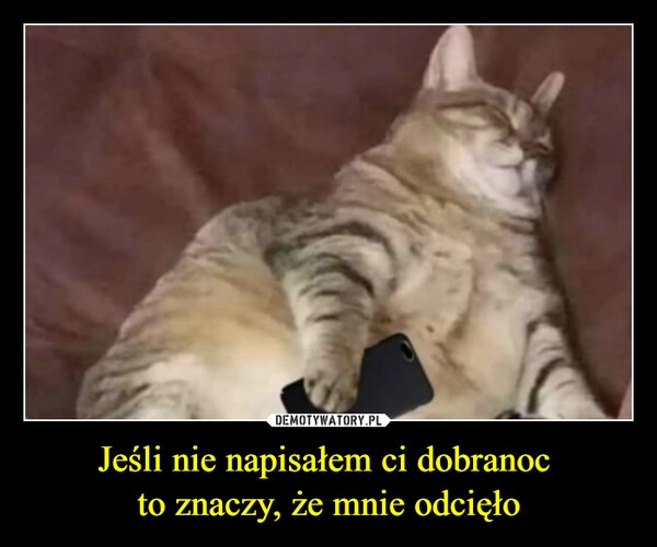 
    Jeśli nie napisałem ci dobranoc 
to znaczy, że mnie odcięło