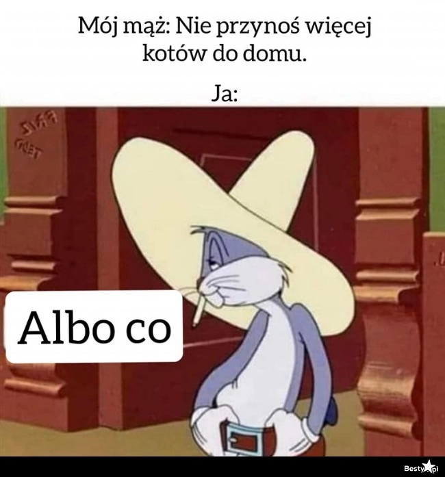 
    Jeszcze zobaczymy 