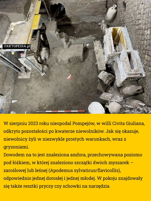 
    W sierpniu 2023 roku nieopodal Pompejów, w willi Civita Giuliana,