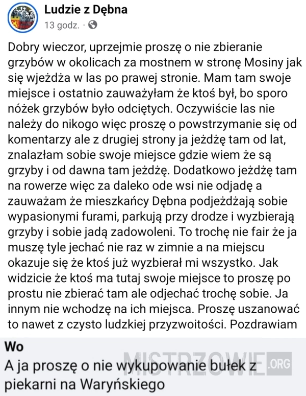 
    Grzyby