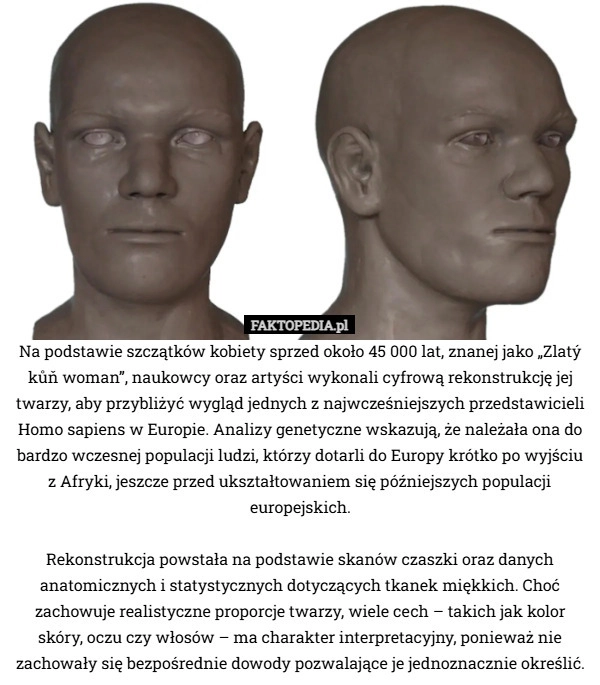 
    Na podstawie szczątków kobiety sprzed około 45 000 lat, znanej jako „Zlatý