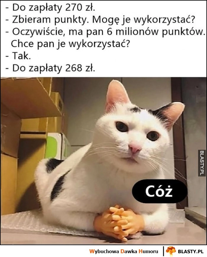 
    Do zapłaty 270 zł, mam 6 milionów punktów lojalnościowych, to teraz do zapłaty 268 zł