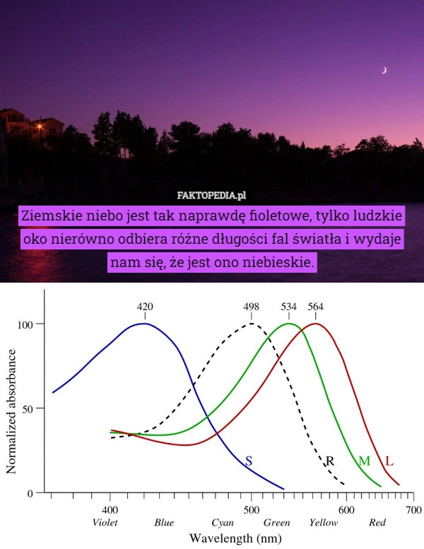 
    Ziemskie niebo jest tak naprawdę fioletowe, tylko ludzkie oko nierówno odbiera