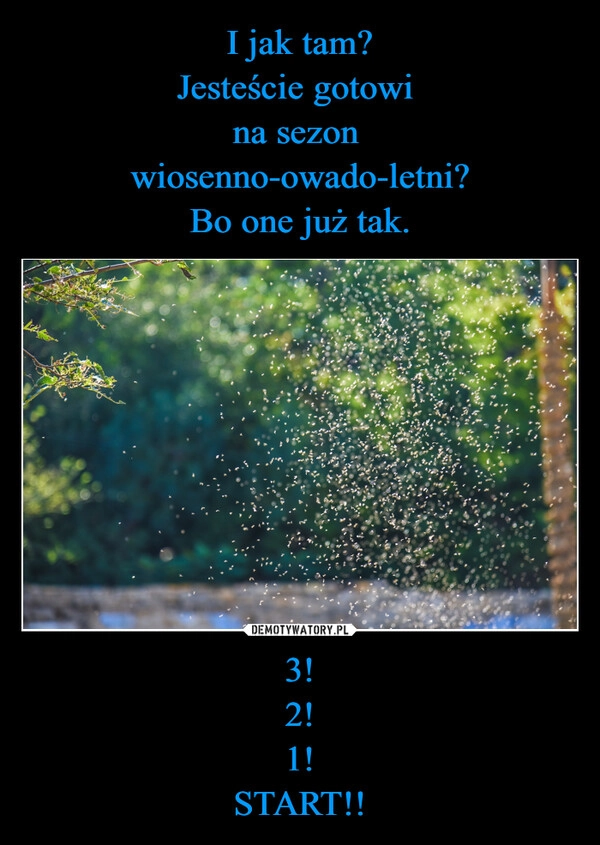 
    I jak tam?
Jesteście gotowi 
na sezon 
wiosenno-owado-letni?
Bo one już tak. 3!
2!
1!
START!!