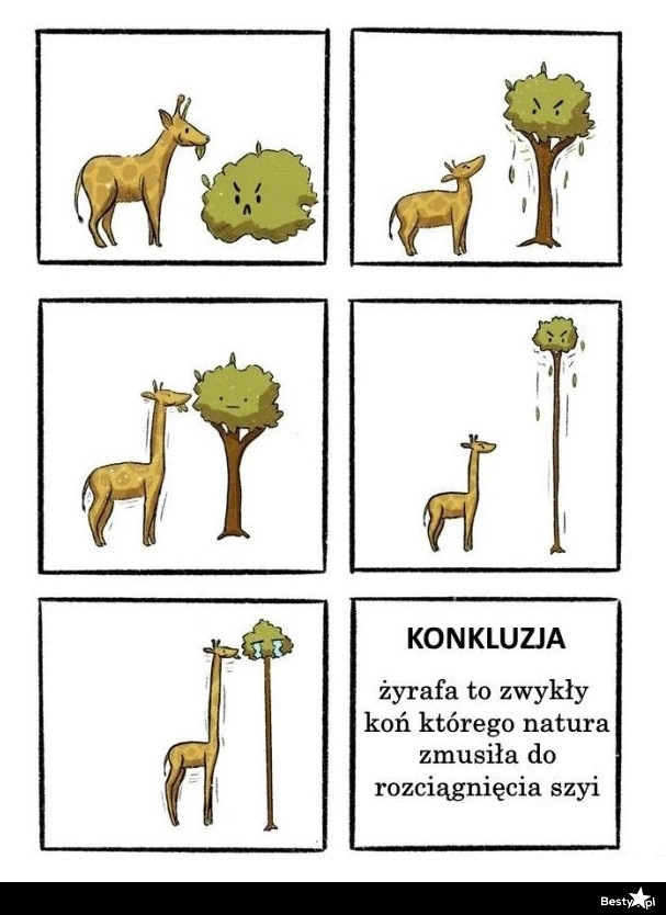 
    Konkluzja 