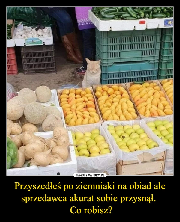 
    Przyszedłeś po ziemniaki na obiad ale sprzedawca akurat sobie przysnął. 
 Co robisz?