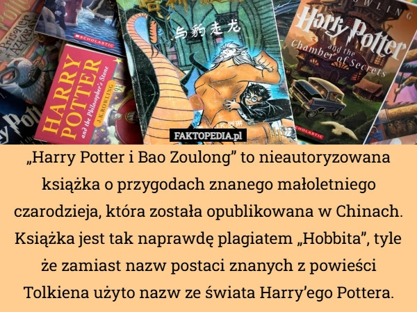 
    „Harry Potter i Bao Zoulong” to nieautoryzowana książka o przygodach znanego