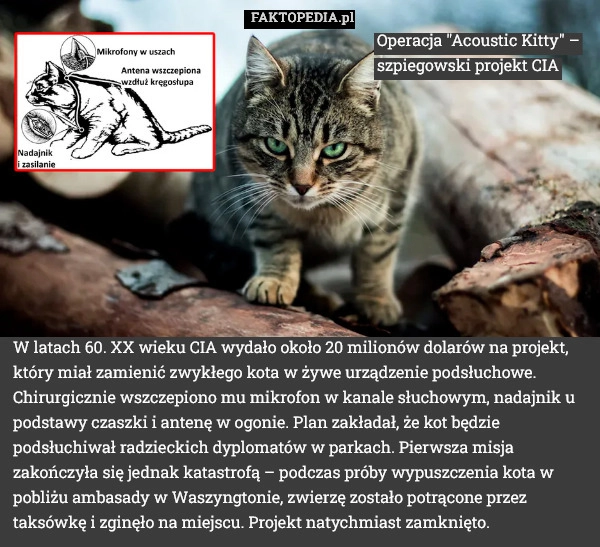 
    W latach 60. XX wieku CIA wydało około 20 milionów dolarów na projekt, który