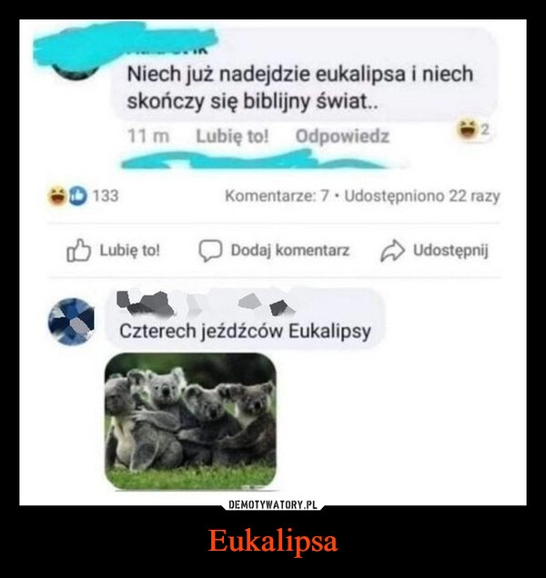 
    Eukalipsa