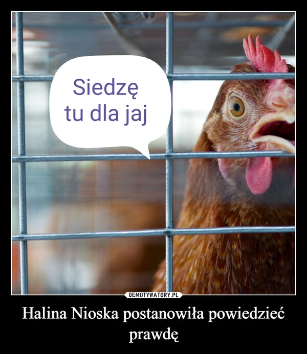 
    Halina Nioska postanowiła powiedzieć prawdę