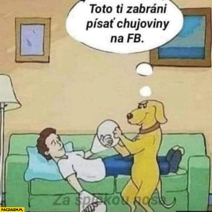 
    Pies zakłada panu klosze na ręce to ci zabroni pisać bzdur na fb facebooku