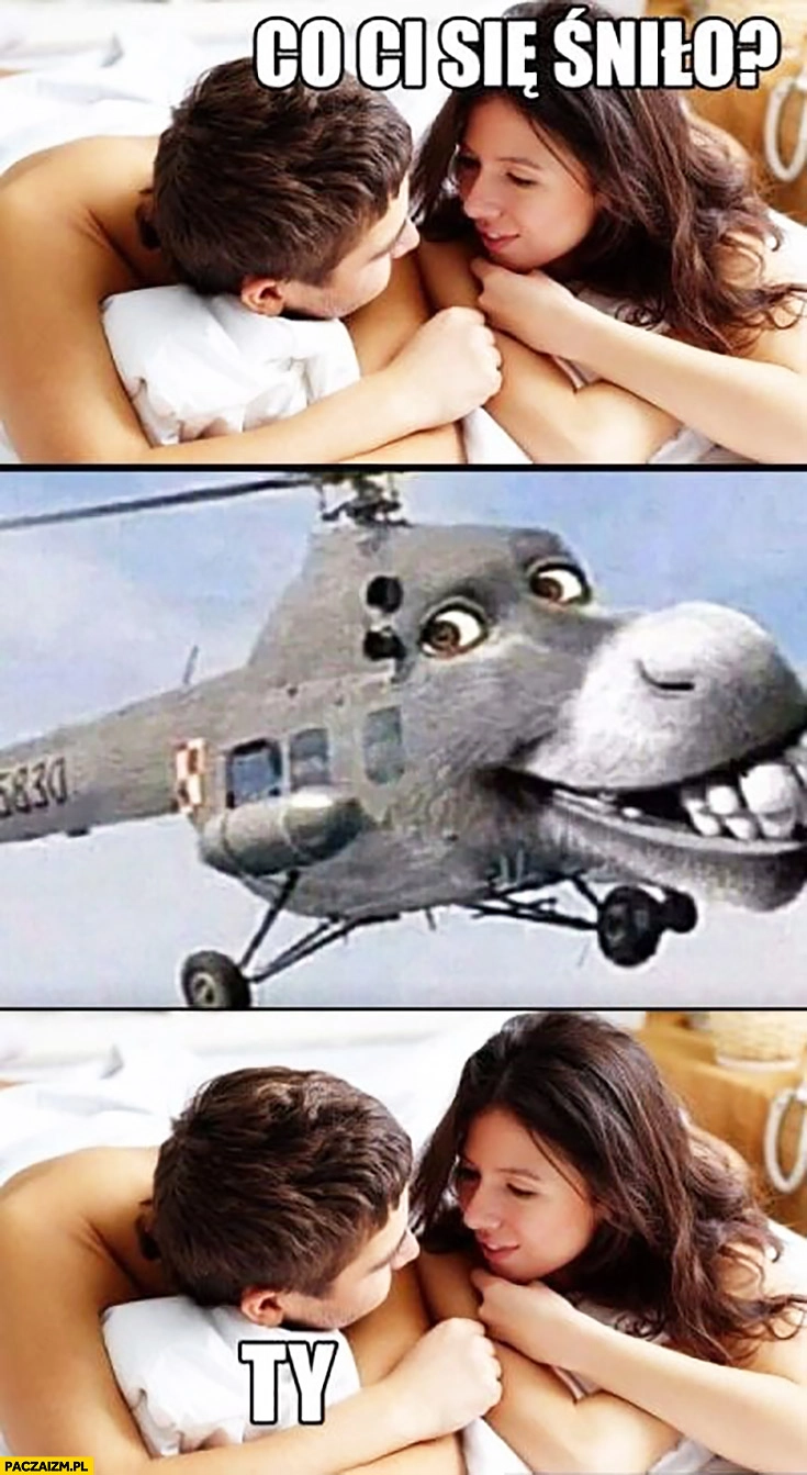 
    Co Ci się śniło? Ty. Dziewczyna pyta helikopter osioł