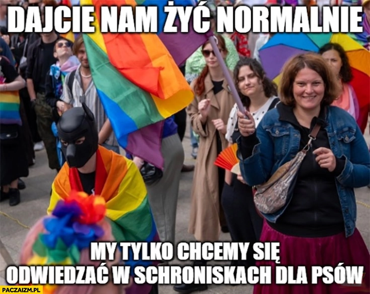 
    LGBT dajcie nam żyć normalnie my tylko chcemy się odwiedzać w schroniskach dla psów maska psa sado-maso