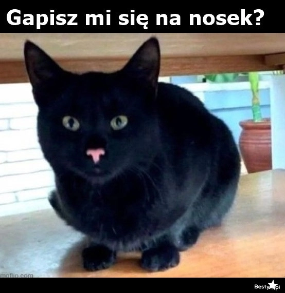 
    Różowiutki nosek 