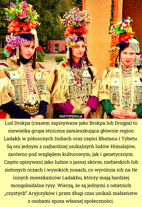 
    Lud Drokpa (czasem zapisywane jako Brokpa lub Drogpa) to niewielka grupa