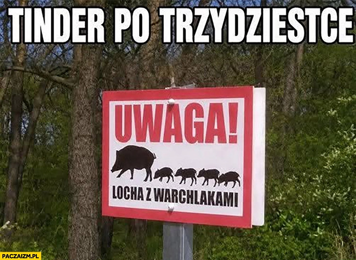 
    Tinder po trzydziestce uwaga locha z warchlakami