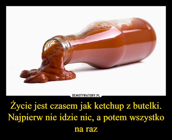 
    Życie jest czasem jak ketchup z butelki. Najpierw nie idzie nic, a potem wszystko na raz