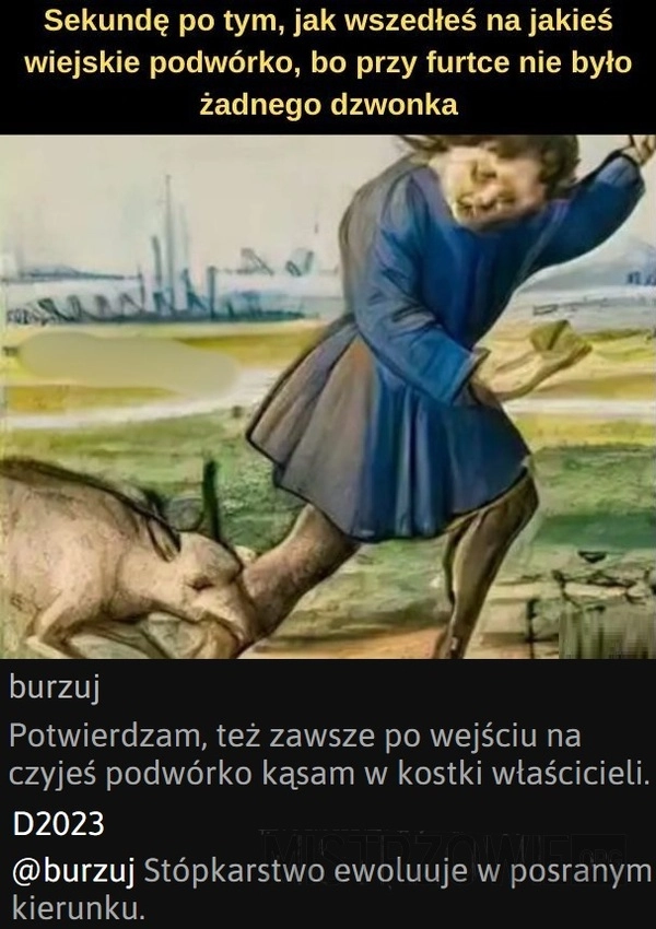 
    Wiejskie podwórko