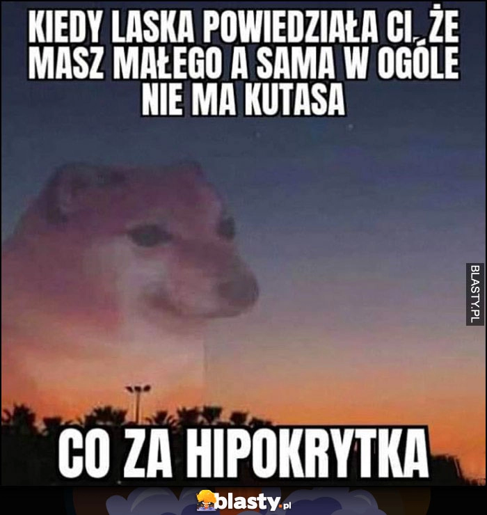 
    Kiedy laska powiedziała, ze masz małego a sama w ogóle nie ma, co za hipokrytka pies pieseł doge