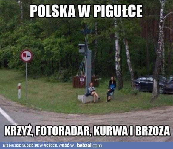 
    Polska w pigułce