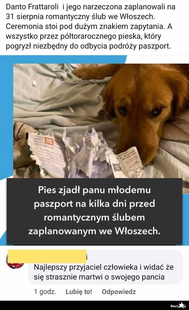 
    Zjedzony paszport 