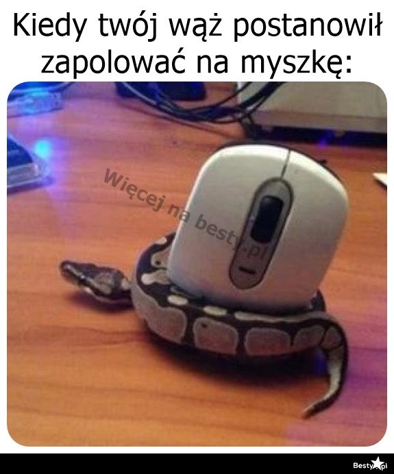 
    Hmm, coś jest nie tak 