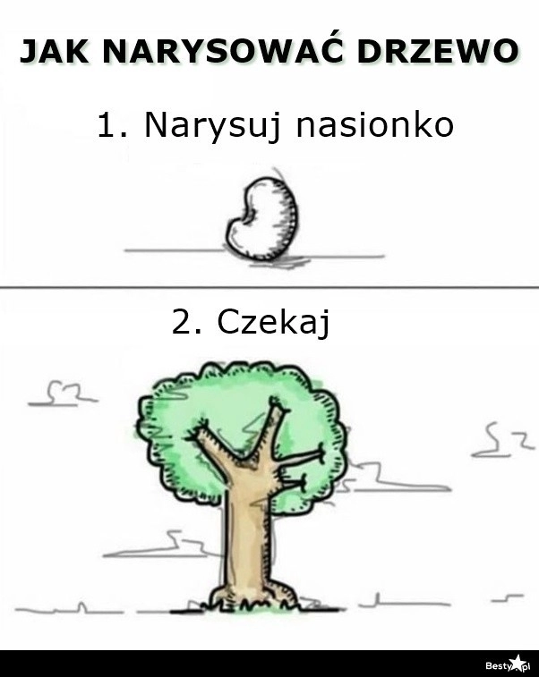 
    Jak narysować drzewo 