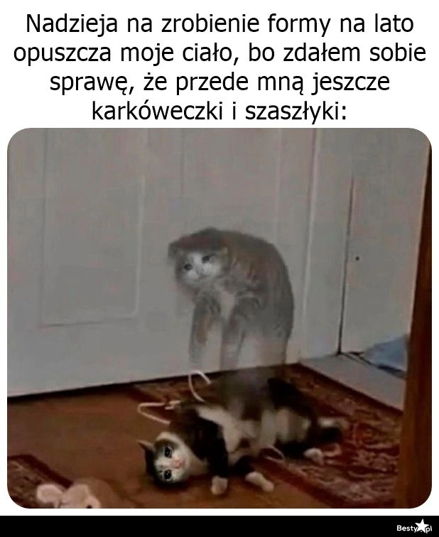 
    No nie ma szans 