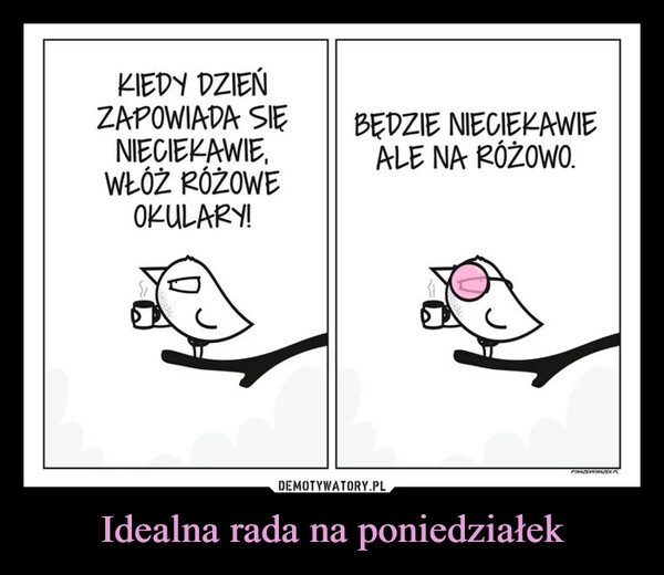 
    Idealna rada na poniedziałek