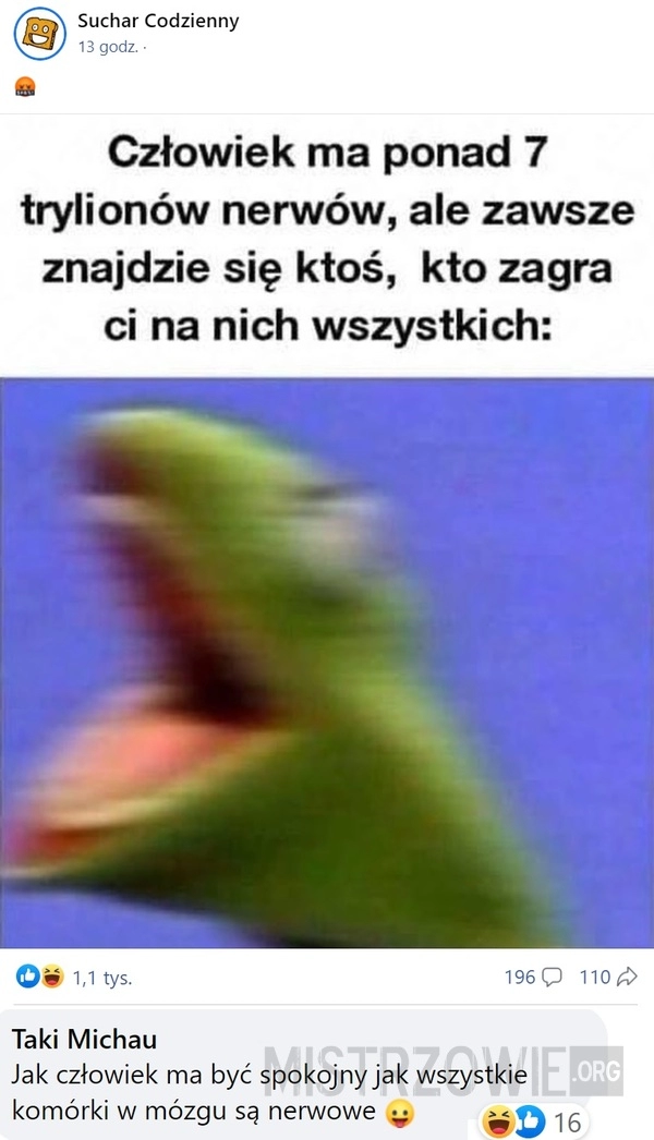 
    Człowiek