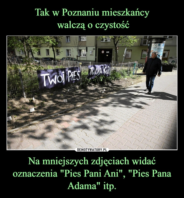 
    Tak w Poznaniu mieszkańcy
 walczą o czystość Na mniejszych zdjęciach widać oznaczenia "Pies Pani Ani", "Pies Pana Adama" itp.