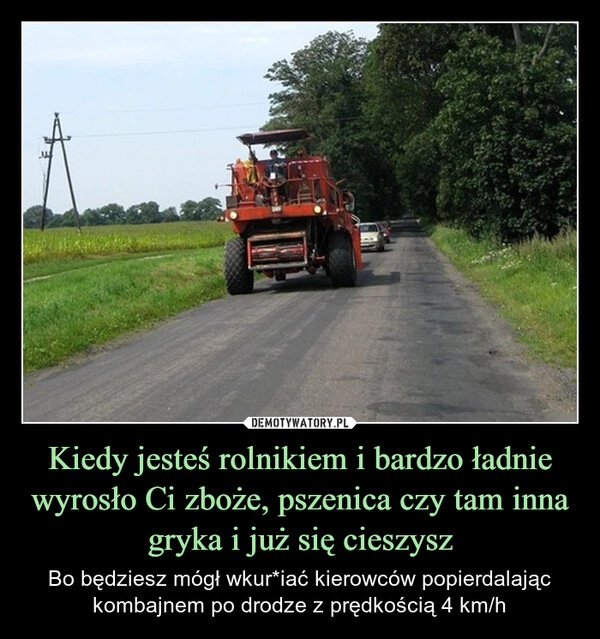 
    Kiedy jesteś rolnikiem i bardzo ładnie wyrosło Ci zboże, pszenica czy tam inna gryka i już się cieszysz
