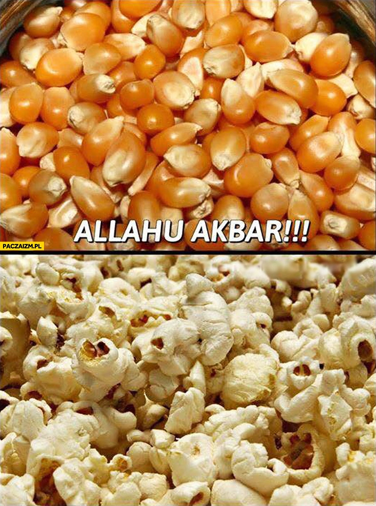 
    Popcorn Allah Akbar prażona kukurydza