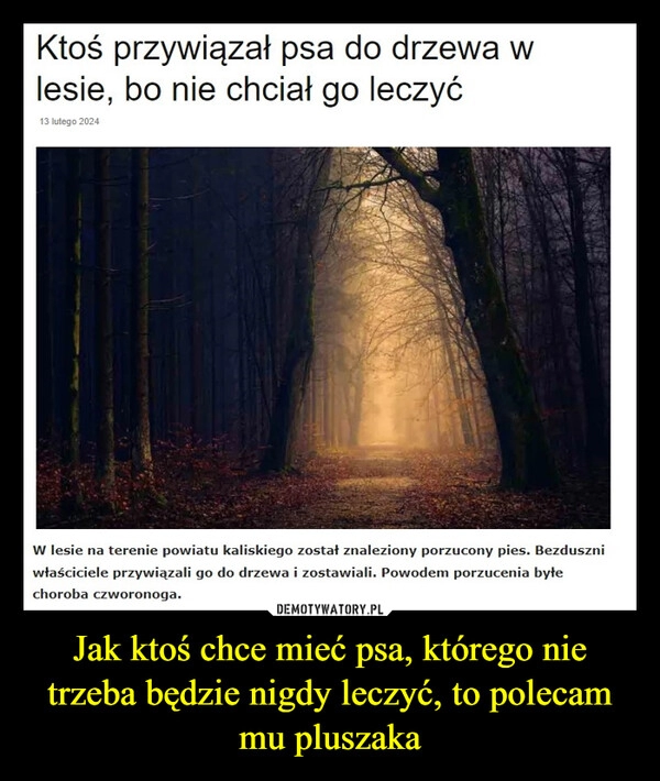 
    Jak ktoś chce mieć psa, którego nie trzeba będzie nigdy leczyć, to polecam mu pluszaka